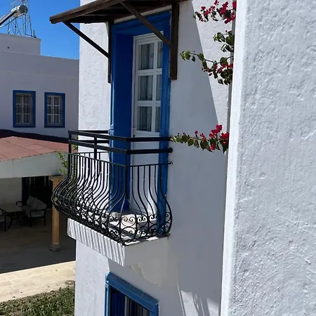 Ege