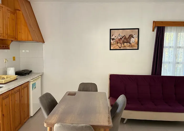 Ege Ξενοδοχείο με διαμερίσματα