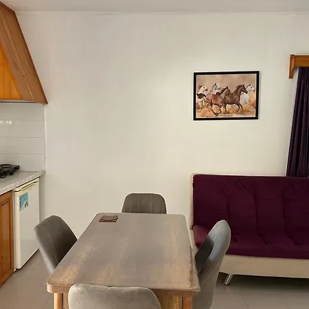 Ege Hotel de apartamente